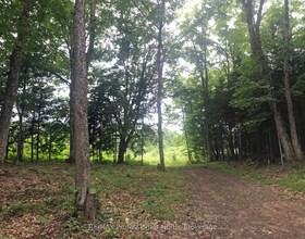 1645 South Lake Road, Haliburton, ON , MLS #X13048122 , Image - 1