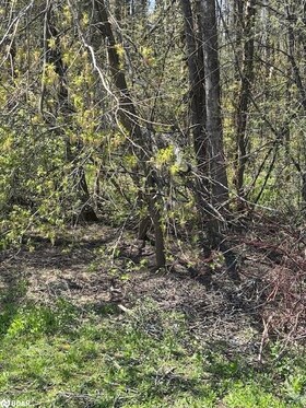 153 Courtland Street, Simcoe, ON , MLS #40727157 , Image - 1