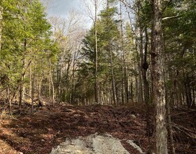 LOT 27 BUSHWOLF LAKE Road, Haliburton, ON , MLS #X13133408 , Image - 1