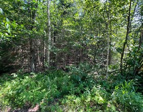 LOT 29 WEST Court, Haliburton, ON , MLS #X13133392 , Image - 1
