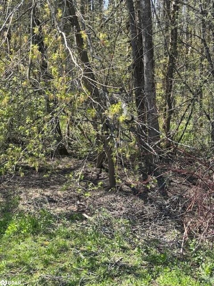 145 Courtland Street, Ramara, ON, Rural Ramara