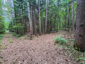 1130 Chetwynd Road, Parry Sound, ON , MLS #X12918826 , Image - 1