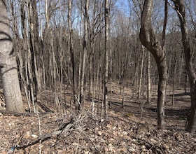 0 SOUTH MUSKOKA Drive, Muskoka, ON , MLS #X12298464 , Image - 1