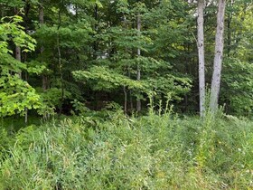 60 SUMMER LEIGH Trail, Muskoka, ON , MLS #X12946170 , Image - 1