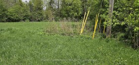 100 DOWLER Street, Wellington, ON
