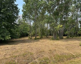 LOT Archer Road, Stormont, Dund, ON , MLS #X12319521 , Image - 1