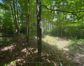 PT LT 112 CON A N/A, Parry Sound, ON , MLS #X12672756 , Image - 1