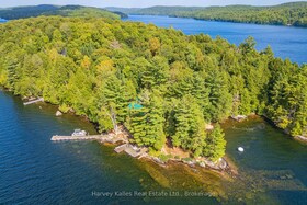19750 Kawagama Big Trout Island, Haliburton, ON , MLS #X13095980 , Image - 1
