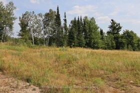 1043 Piper Glen Road, Haliburton, ON , MLS #X12701258 , Image - 1