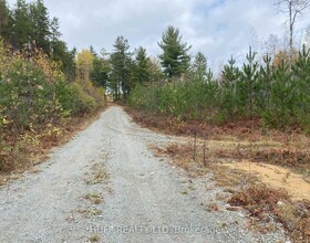 Lot 1 Con 5 Marter 54R-6396 Road, Timiskaming, ON , MLS #T12357785 , Image - 1