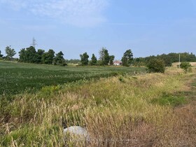Lot B Douro Second Line, Peterborough, ON