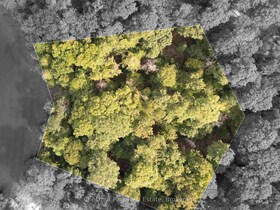 300 Bigwin Island, Muskoka, ON , MLS #X12935730 , Image - 1