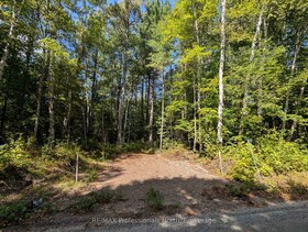 2206 YEARLEY Road, Parry Sound, ON , MLS #X12861514 , Image - 1