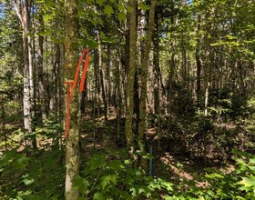 2244 YEARLEY Road, Parry Sound, ON , MLS #X12861516 , Image - 1