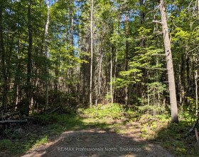 2246 YEARLEY Road, Parry Sound, ON , MLS #X12861530 , Image - 1