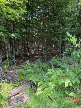 LT 26 Frank St Street, Parry Sound, ON , MLS #X12387843 , Image - 1
