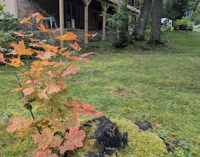 22 Camp Road, Parry Sound, ON , MLS #X13734536 , Image - 1