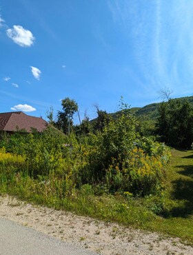 164 Delphi Lane, Grey County, ON