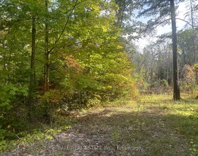 0 Pineview Court, Hastings, ON , MLS #X12951280 , Image - 1