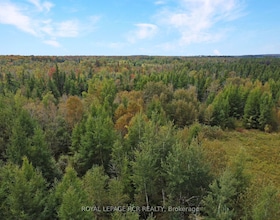 1125XX GREY ROAD 14 Road, Grey County, ON , MLS #X12906780 , Image - 1