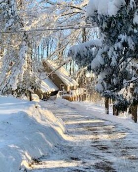 219 Bowles Bluff Road, Grey County, ON , MLS #X13079316 , Image - 1