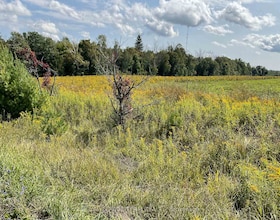 1211 BELLAMY Road, Lanark, ON , MLS #X12442080 , Image - 1