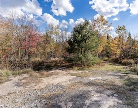 1088 Merkley Road, Muskoka, ON , MLS #X13042146 , Image - 1