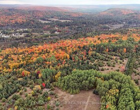 0 McLean Road, Hastings, ON , MLS #X12451318 , Image - 1
