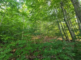 126 Old Highway 26 Highway, Grey County, ON , MLS #X12461899 , Image - 1