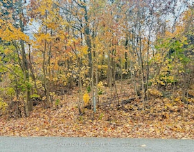 554 Barnes Avenue, Simcoe, ON , MLS #S12925242 , Image - 1