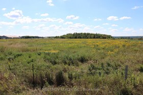 0 Hurontario Street, Peel, ON , MLS #W12472948 , Image - 1