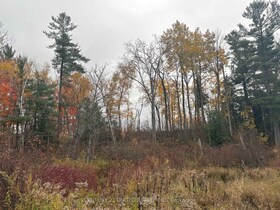 0 Godolphin Road, Northumberland, ON , MLS #X12476538 , Image - 1