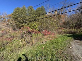 58 Main Street, Hastings, ON