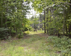 1148 Mt St Patrick Road, Renfrew, ON , MLS #X13823550 , Image - 1