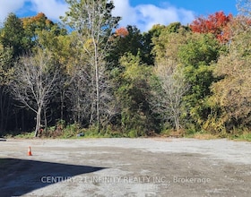 6029 Old Scugog Road, Durham, ON