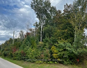 1 SHORE Road, Bruce, ON , MLS #X12518496 , Image - 1