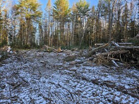 3051 Highway 534 N/A, Parry Sound, ON , MLS #X12562748 , Image - 1