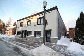 58 Queen St Street W, Simcoe, ON , MLS #S12647072 , Image - 1