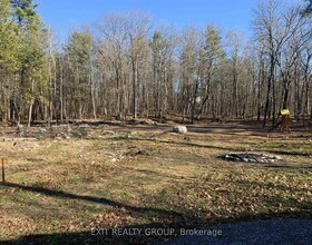 278 Forest Park Drive, Hastings, ON , MLS #X13083090 , Image - 1
