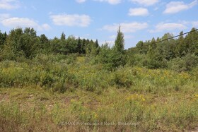 1010 Piper Glen Road, Haliburton, ON , MLS #X12696566 , Image - 1