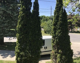 203 Goddard Street, Toronto, ON , MLS #C13534956 , Image - 1