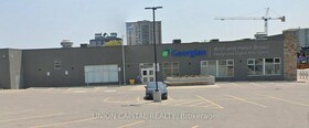 66 Bayfield Street, Simcoe, ON