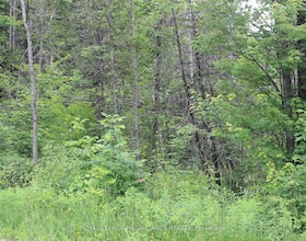PT LT 11 RCP 2312 N/A, Hastings, ON