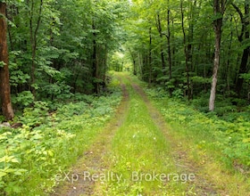 3 Kingfisher Road, Parry Sound, ON , MLS #X12715558 , Image - 1