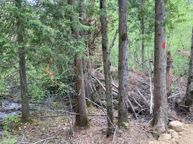 Lot 28 Concession 11 N/A, Muskoka, ON , MLS #X12731874 , Image - 1