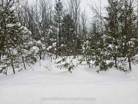 180 Bowles Bluff Road, Grey County, ON , MLS #X12769362 , Image - 1
