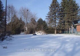 91 Lilly Street W, Simcoe, ON , MLS #N13230626 , Image - 1