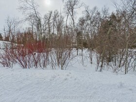 321 Tyendinaga Road, Bruce, ON