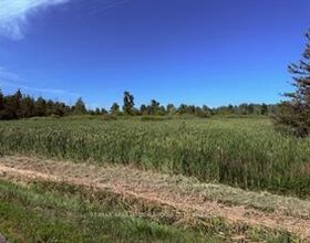 LOT County Road 31 Road, Stormont, Dund, ON , MLS #X12816928 , Image - 1