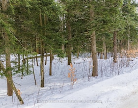 38 Gryffin Bluffs Lane, Muskoka, ON , MLS #X13210692 , Image - 1